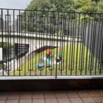 レス47番の画像2