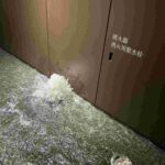 レス1番の画像3