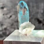 レス22番の画像1