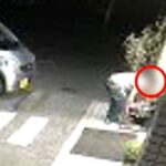 レス1番のリンク先のサムネイル画像