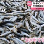 レス1番のリンク先のサムネイル画像