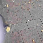 レス80番の画像1