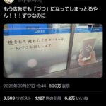 レス1番の画像1