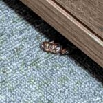 レス15番の画像1