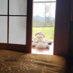 レス55番の画像1