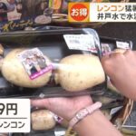 レス1番の画像2