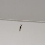 レス28番の画像1