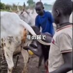 レス1番の画像5