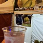 レス86番の画像4