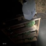 レス1番の画像3