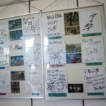 レス8番の画像1