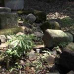 レス1番のリンク先のサムネイル画像