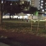 レス21番の画像1