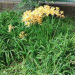 レス1番の画像3