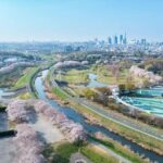 レス1番の画像20