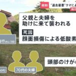 レス1番のリンク先のサムネイル画像