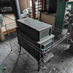 レス8番の画像1