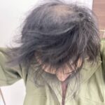 レス6番の画像2