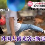 レス1番のリンク先のサムネイル画像