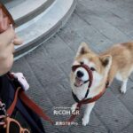 レス2番の画像6