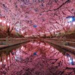 レス1番の画像12