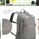 レス21番の画像1