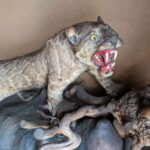 レス2番の画像1