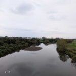 レス1番の画像8