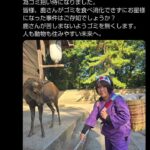 レス7番の画像1