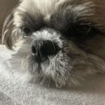 レス1番の画像2