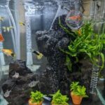 レス32番の画像1