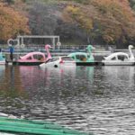 レス4番の画像1