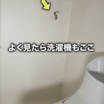 レス1番の画像3