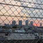 レス23番の画像1