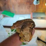 レス1番の画像2