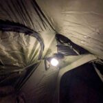 レス31番の画像1