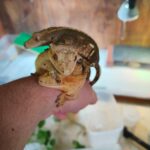 レス1番の画像1