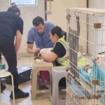 レス11番の画像3