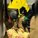 レス11番の画像7