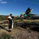 レス14番の画像3