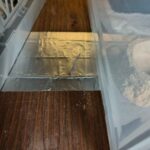 レス32番の画像1