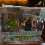 レス24番の画像1