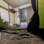 レス2番の画像1