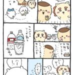 レス5番の画像1