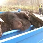 レス1番の画像5