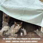 レス11番の画像6