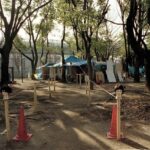 レス17番のリンク先のサムネイル画像