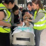 レス11番の画像5