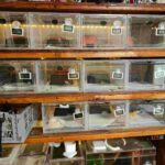 レス24番の画像2