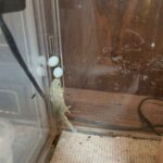 レス25番の画像1